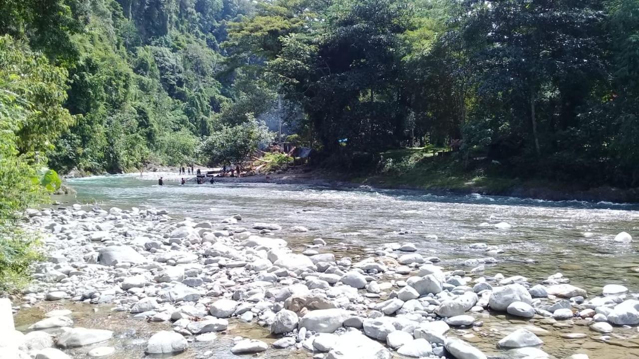 Rambai Tree Jungle Lodges Bukit Lawang Dış mekan fotoğraf